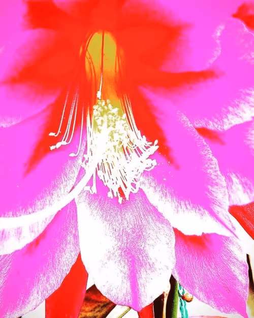 Item #6319528205725192402137538471635698670390567315574369707282574015214148124673 Media