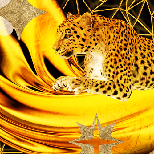 Item #55847057403652046723769732418931187583911313797937474444561760732594200117249 Media