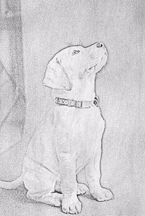 Item #104571871624713793639651805658793486494192065920849225127728493728801440661505 Media