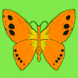 Butterfly #14
