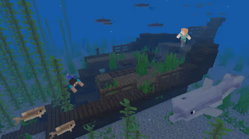 Item #35308451355694295691084576807998119017131502347219287118871722563007636570113 Media