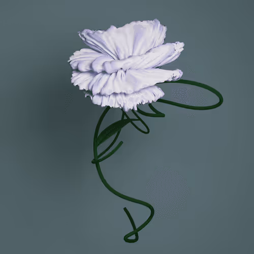 Item #8392202476458850950837415631390547663441732066796181739564979949156494737409 Media