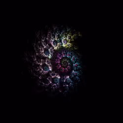 Gemma Spiralis #8