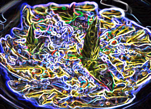 Item #38428491214432997710805119753130482033437213928045835260507500314256914513970 Media