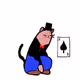 115238082168253219198909657426675830206474062336811871434639261871972930289669