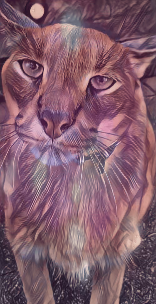 Item #8433188739350762012853751817156363989750694710489577431488854194428384903169 Media