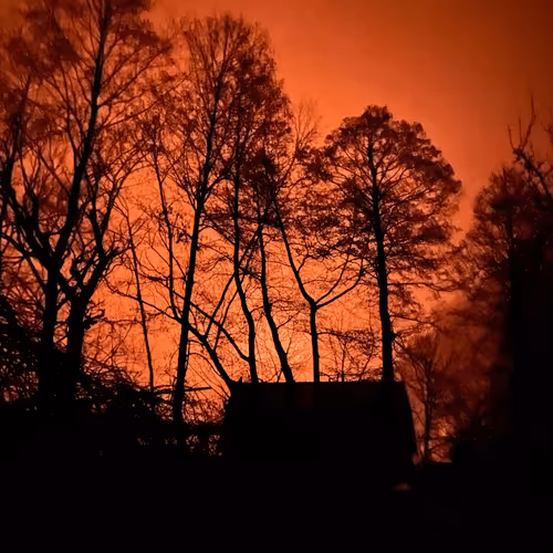 Untitled Collection #434818952