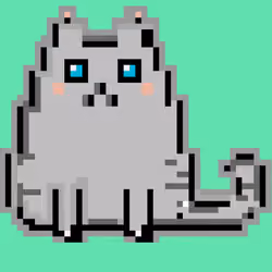 Crypto cat #1