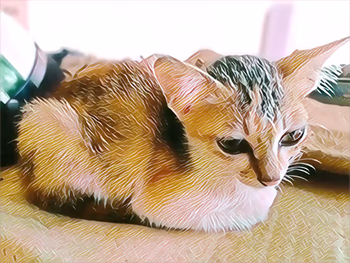 Item #74122138759525378795667626270866148487737655975912799548892275234700380864513 Media