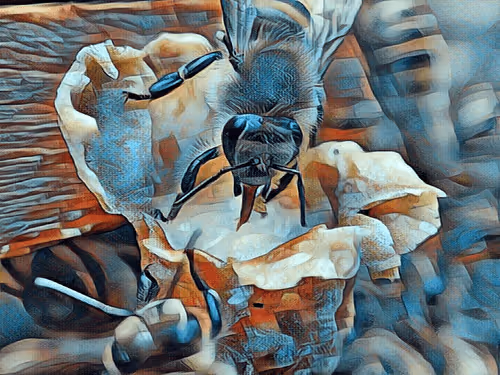 Item #101599579626109009666607068920778550362968334718480795982881728436381153230849 Media