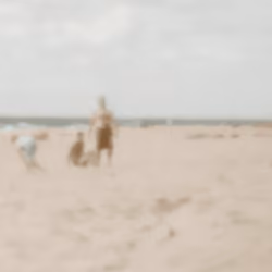 Family on beach
