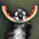 85162841585967696520170918930070969708163805878635364541622601406858374676481