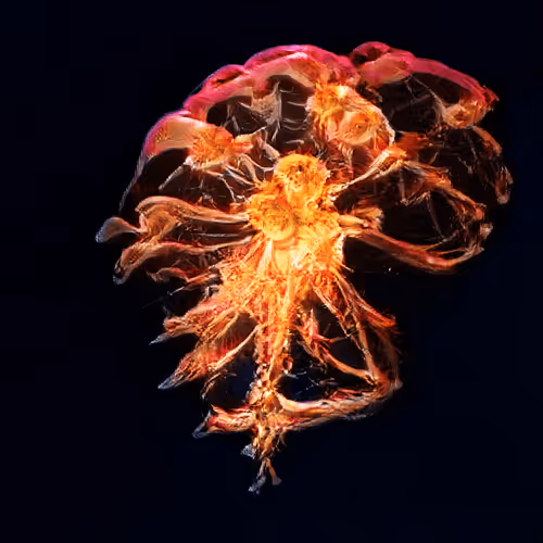 Item #93923887731966639760197662534300547726212510779526051617655967284327820034049 Media