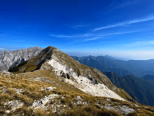 Item #36336170879608208403963751604494433054462935544758920663222913843978638983169 Media