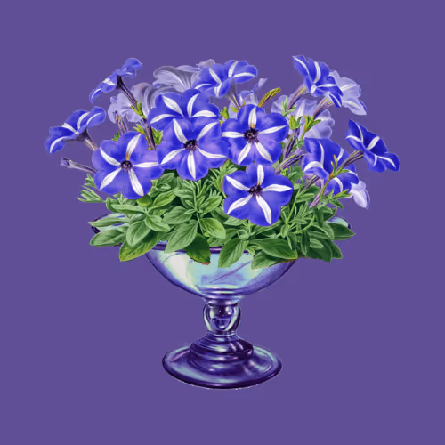 Item #11345277294321805490950982682706921649721953038596019142075108522475829329921 Media