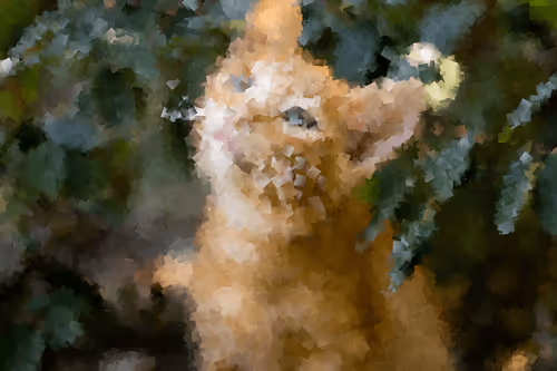 Item #84847574650965292404971500826691156411633346710644691667011505792778036576257 Media