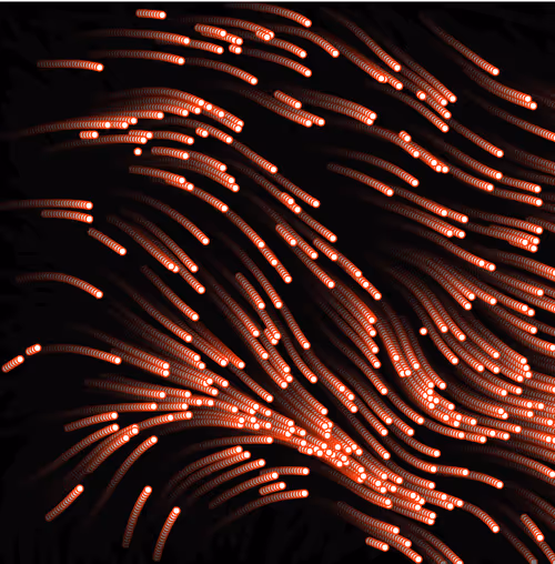 Item #18188641774722569462862161612624599961987570964687117327932822788298149724161 Media