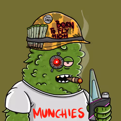 10781972816029327364120052059159000007855813889773667238981933105376126828545