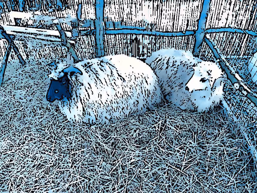 Item #100699266862010265980474664760375873767511284921164942724068625905767101235201 Media