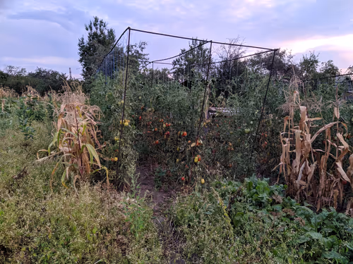 Item #41983459946325006344850038724007157971914249844141491949312563393697161412609 Media