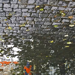 72771752724512834897841148734331697196499953349916527017693403088282552631396