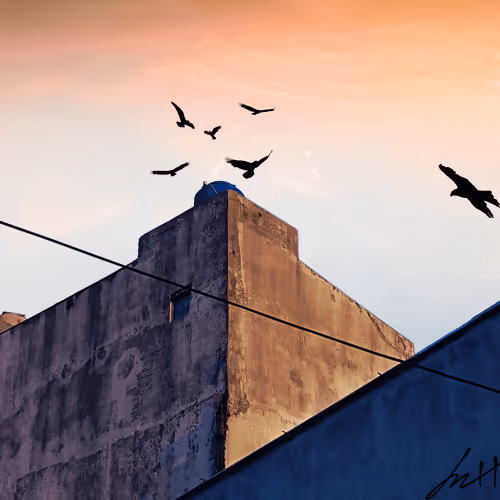 Item #87183293324001355269684134978610964446702147455596424234768796654275798237185 Media