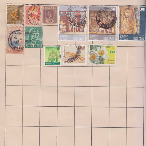 Item #53767479824665649384822351390913421204994289511704650168811202787508268040193 Media