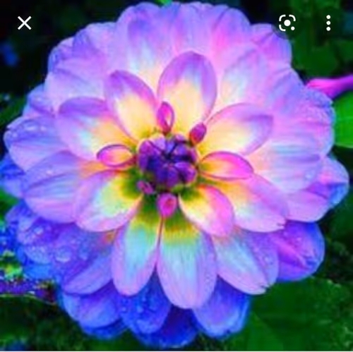 Item #88361313623367821169385109995691991430035234120960623439170725889395889537224 Media