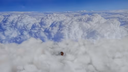 Item #32382354995311206636930955851818118108425029471473268411146207478819825123428 Media