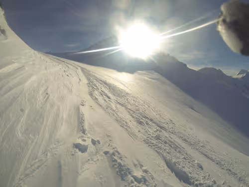 Untitled Collection #248220848