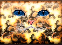 CatFace #012