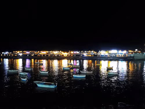 Item #99240698403131764357396770641695198226804647575338296481324929440271434776577 Media