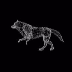 Night Wolf