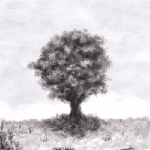 Item #74277105166926401675648590500167077095239870897579205430653654823088557129729 Media