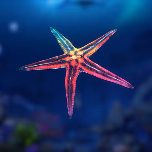 Item #83786750606513419256280086866858236619621038147804989423377146074368653131777 Media