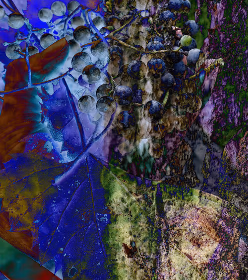 Item #6775040480885046554620352186807230541781554630932689844287671720811645894657 Media