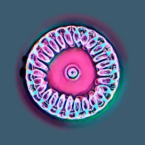 Item #76890309982572414559524539652653274915372995696638965878349557285738453663745 Media