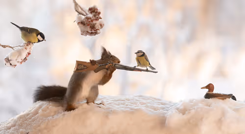 Item #41723246610632705543282218396403645401617984070439185990108432292004946247681 Media