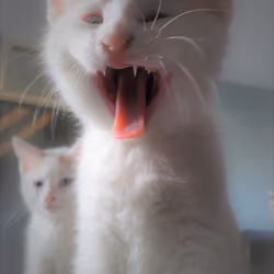 Little Hunters