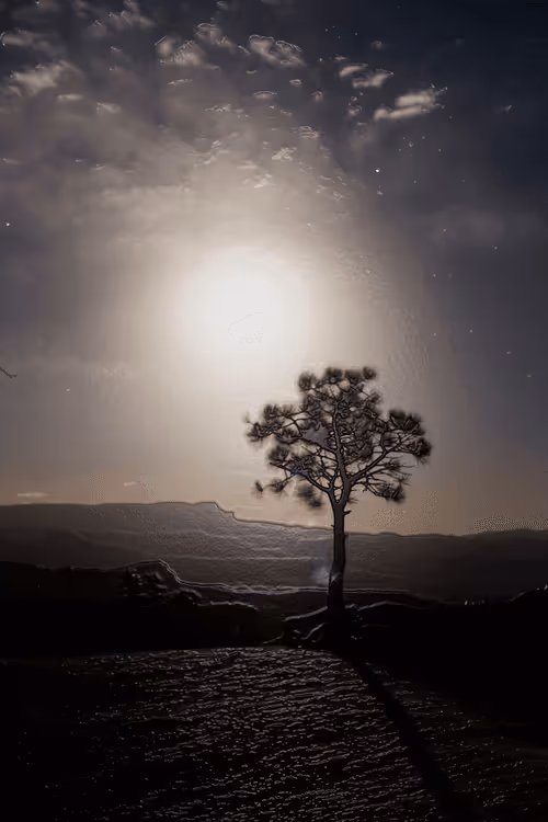 Item #52655132106615007427639537052126499358755561016261279021780266141813426880513 Media