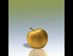 Item Media