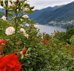 Colors of Como