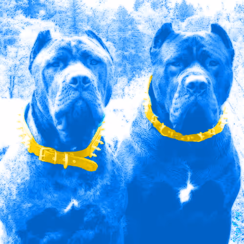 Item #36391424052732399087227214687131846955298181030742443093081293125275724283914 Media