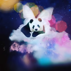 panda's dream 