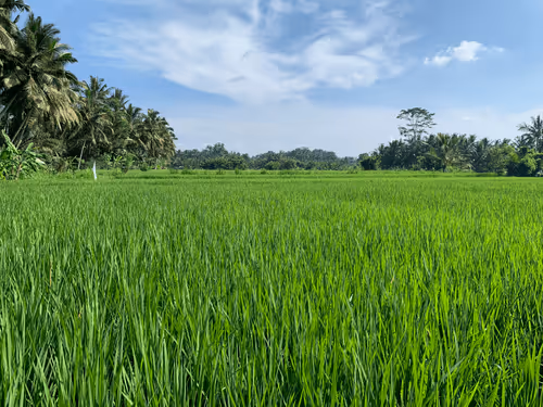 Item #80544021784026682733405216277995046539024496626097833728540683721257808560129 Media