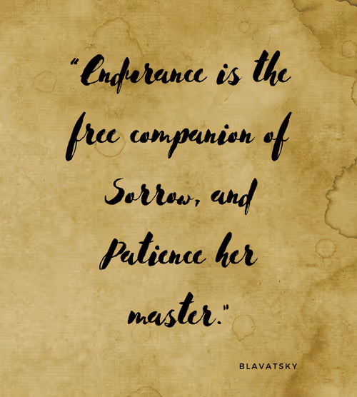 Item #74244561265385560548005883535502276132434054888589550816365993406217544794113 Media