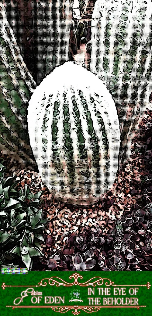 Item #111848979152032696048250741203495729991903103051508547843647447403529353822209 Media