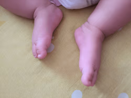 Untitled Collection #59615297