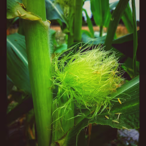 3787080761074609709675817509753112159059746763483256848434353849166989361153