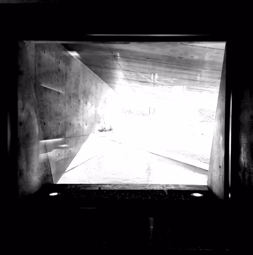 Item #110376333606826104316535144244517764265657143249233600158119324336134853492738 Media